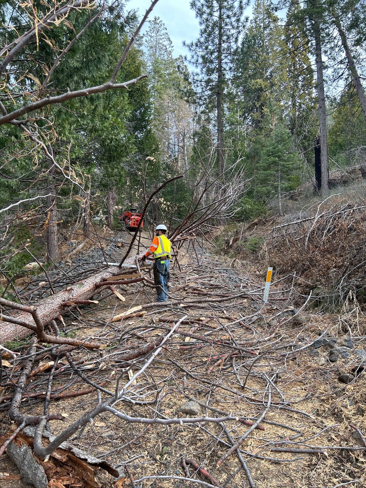 Excavator on a forest access road in the Sierra foothills